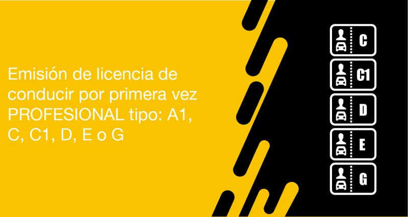 El usuario requirente puede solicitar en la ANT la emisión de licencia de conducir por primera vez profesional tipo: C, D, E o G
