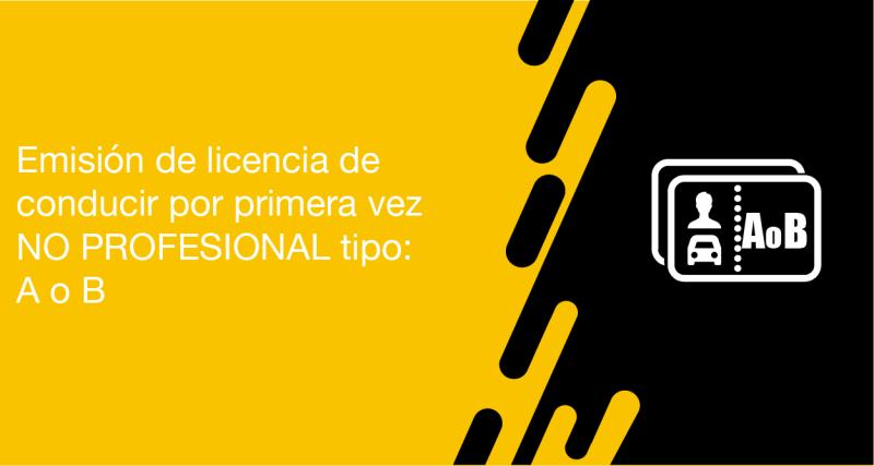 El usuario requirente puede solicitar en la ANT la emisión de licencia de conducir por Primera Vez NO Profesional Tipo: A o B