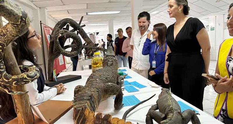Visitantes a una exhibición itinerante 