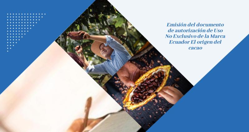 Cacao