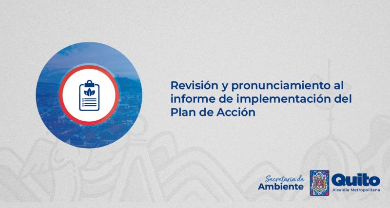 REVISIÓN Y PRONUCIAMIENTO AL INFORME DE IMPLEMENTACIÓN DEL PLAN DE ACCIÓN