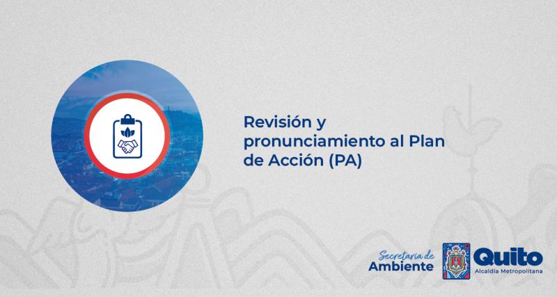 Revisión y pronunciamiento al Plan de Acción (PA)