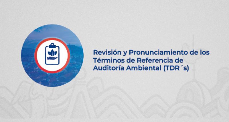 REVISIÓN Y PRONUNCIAMIENTO DE LOS TÉRMINOS DE REFERENCIA DE AUDITORÍA AMBIENTAL