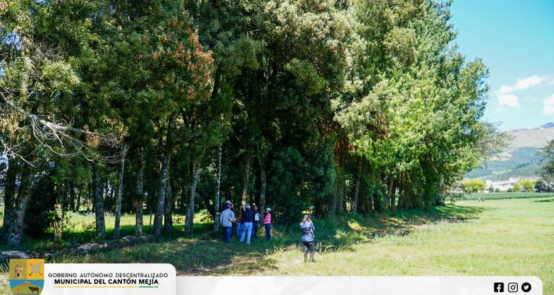 Replanteo de los linderos y traslado del cerramiento.