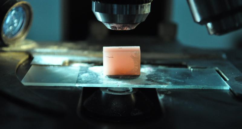 Análisis químicos, físicos y microbiológicos especializados para la investigación, conservación - restauración, inventario, autentificación y  puesta en valor de bienes pertenecientes al patrimonio del Estado Ecuatoriano