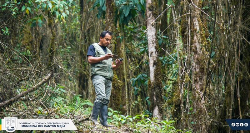 Inspecciones en campo