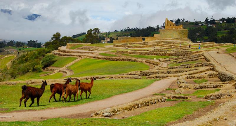 Centro de Investigación e Interpretación Zonal 6: Complejo Arqueológico Ingapirca
