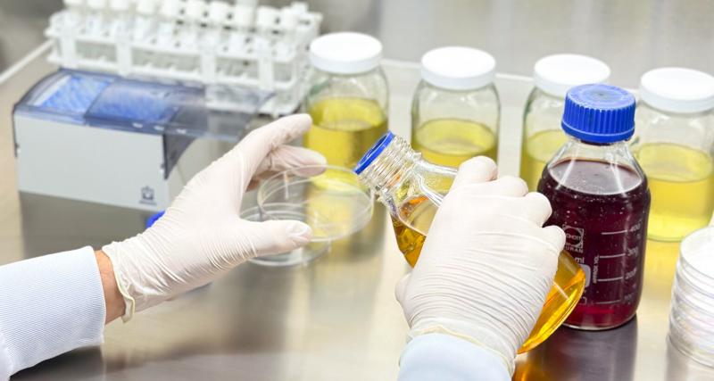 Imagen referencial de análisis.