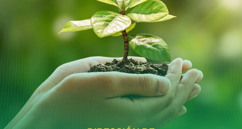 SOLICITUD DE CONEXION