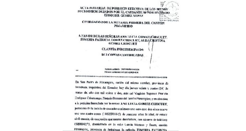 POSESION EFECTIVA MERCANTIL