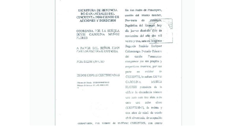 RENUNCIA DE GANANCIALES