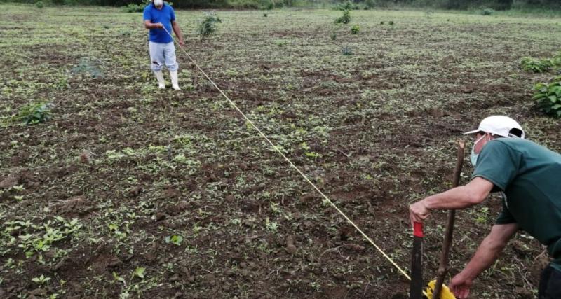 REGULARIZACIÓN DE EXCEDENTES O DIFERENCIAS DE TERRENO