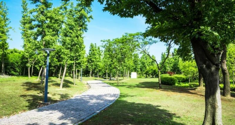 Áreas verdes y comunales a favor de la municipalidad