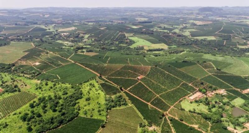 Certificado de uso de suelo 