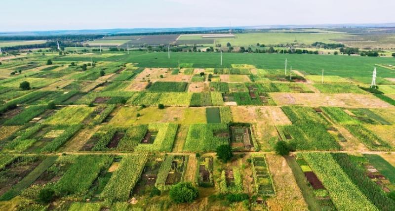 UNIFICACIÓN DE LOTES