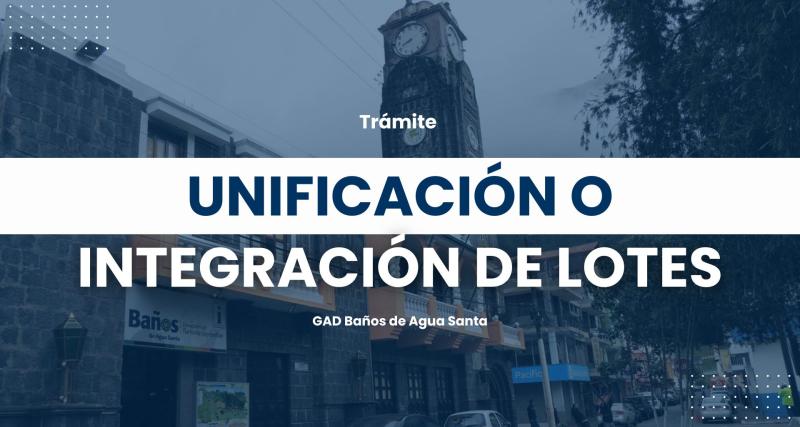 Unificación o integración de lotes