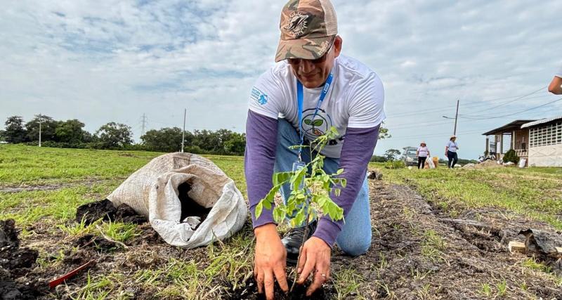Solicitud de donación y siembra de árboles nativos