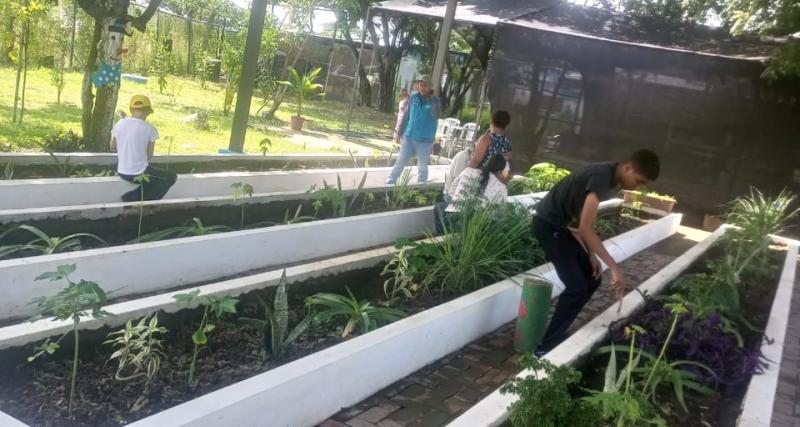 Horticultura para niños, niñas y adolescentes con discapacidad