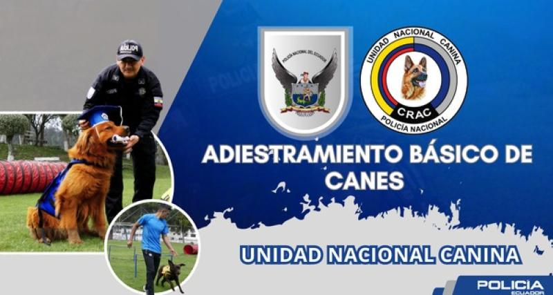 Adiestramiento de Canes