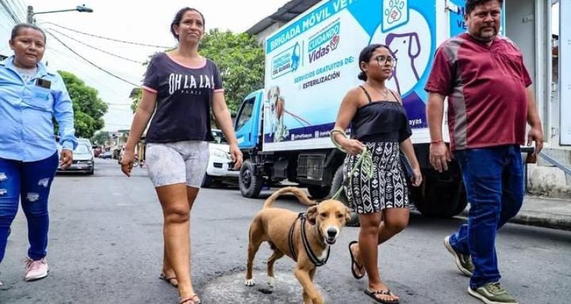 Brigada veterinaria