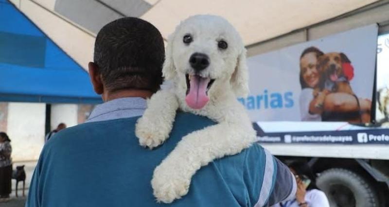 Atención veterinaria preventiva