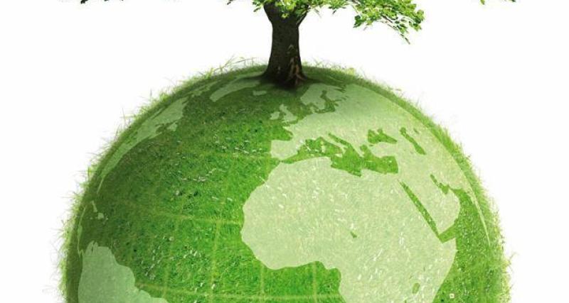 Certificado Ambiental