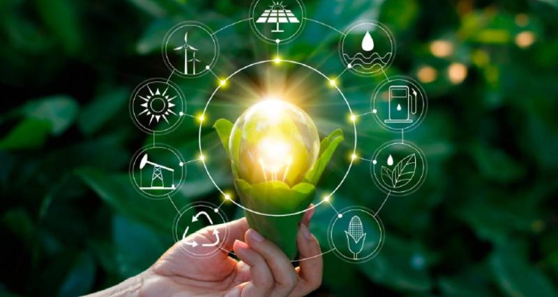 Certificado de no tener obligaciones pendientes con la Autoridad en el Ambito Ambiental