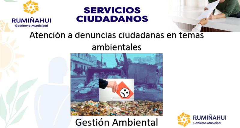 Dirección de Gestión Ambiental 