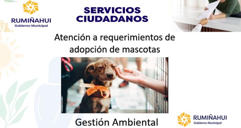 Dirección de Gestión Ambiental 