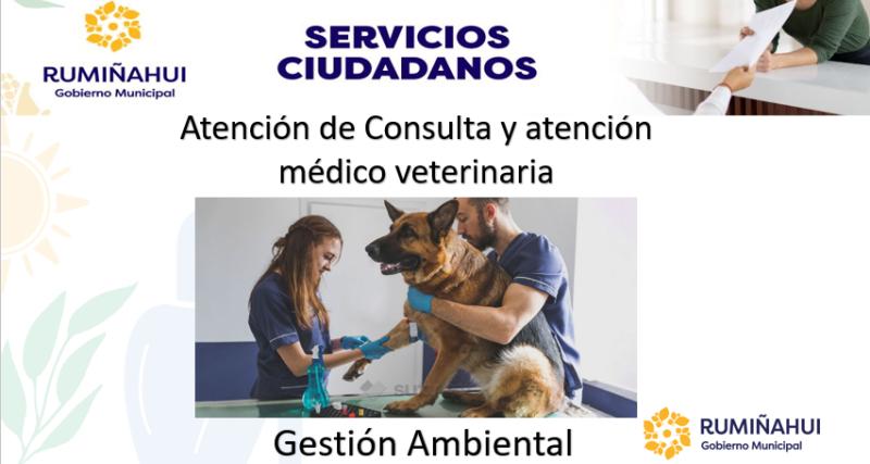 Dirección de Gestión Ambiental 