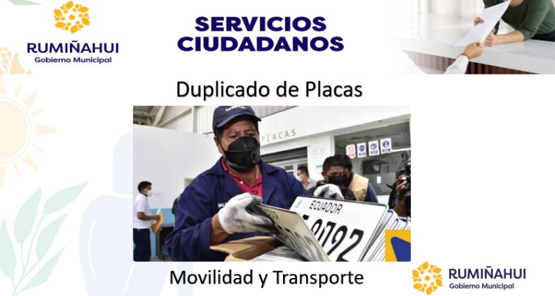 Dirección de Movilidad y Transporte