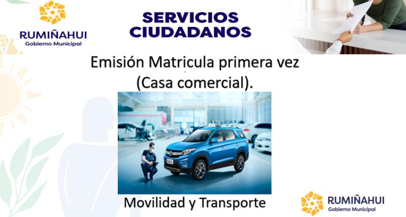 Dirección de Movilidad y Transporte