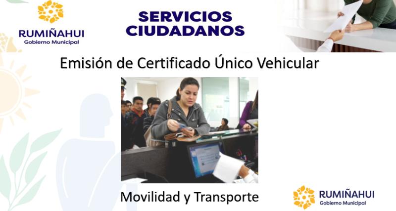 Dirección de Movilidad y Transporte