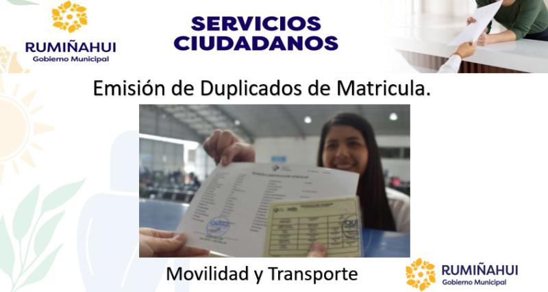 Dirección de Movilidad y Transporte