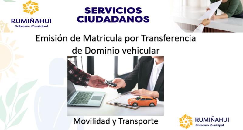 Dirección de Movilidad y Transporte