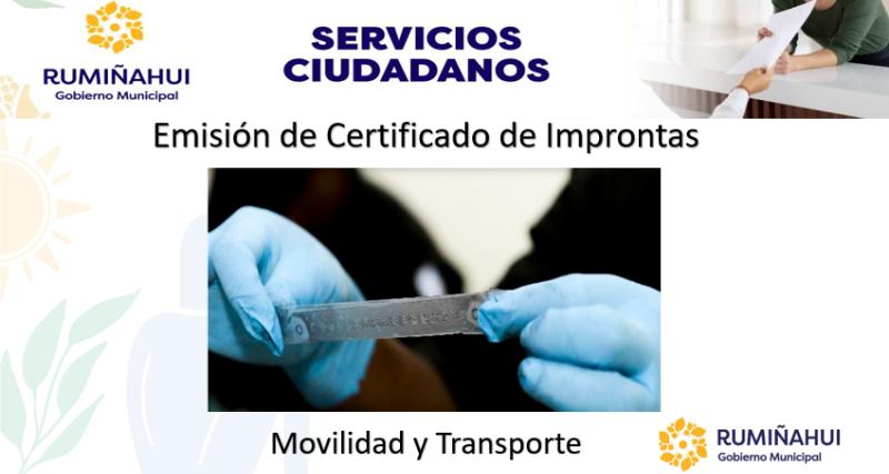 Dirección de Movilidad y Transporte