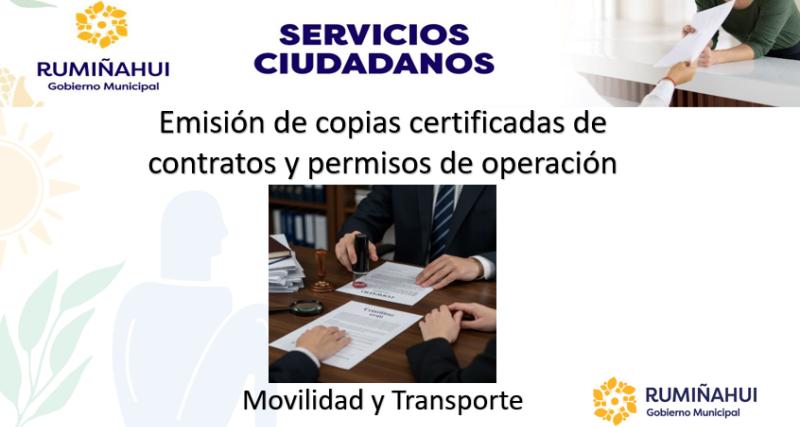 Dirección de Movilidad y Transporte