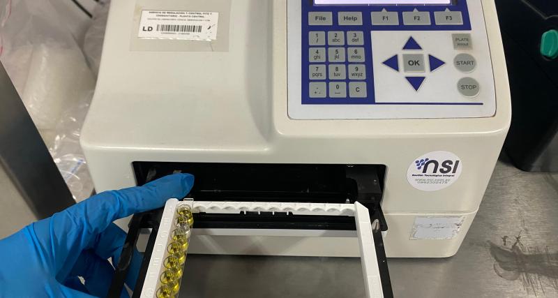  Peste Porcina Clásica ELISA Ac