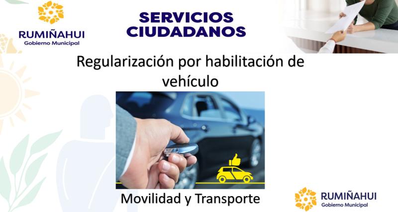 Dirección de Movilidad y Transporte