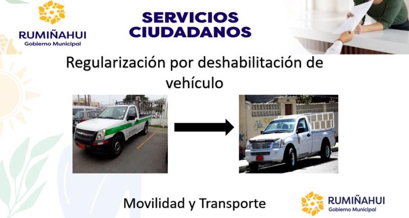 Dirección de Movilidad y Transporte