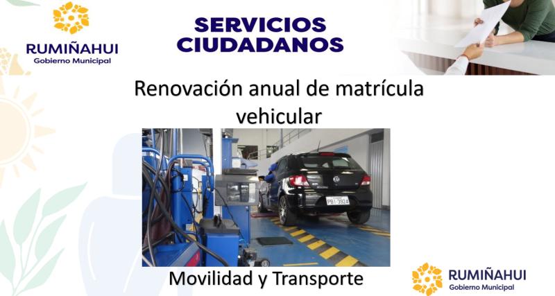Dirección de Movilidad y Transporte