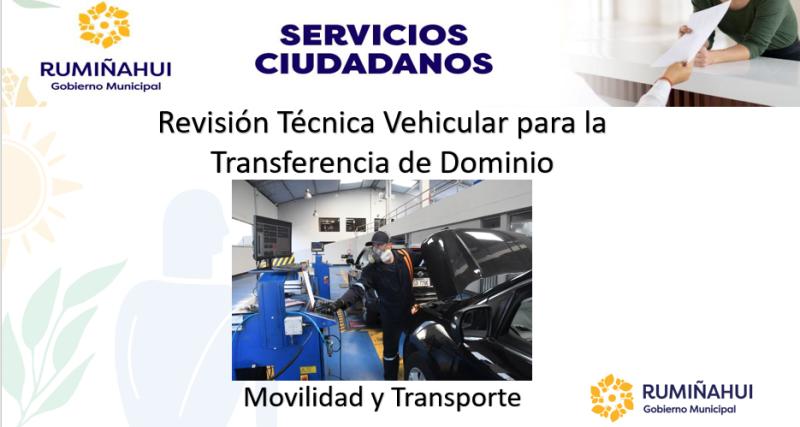 Dirección de Movilidad y Transporte