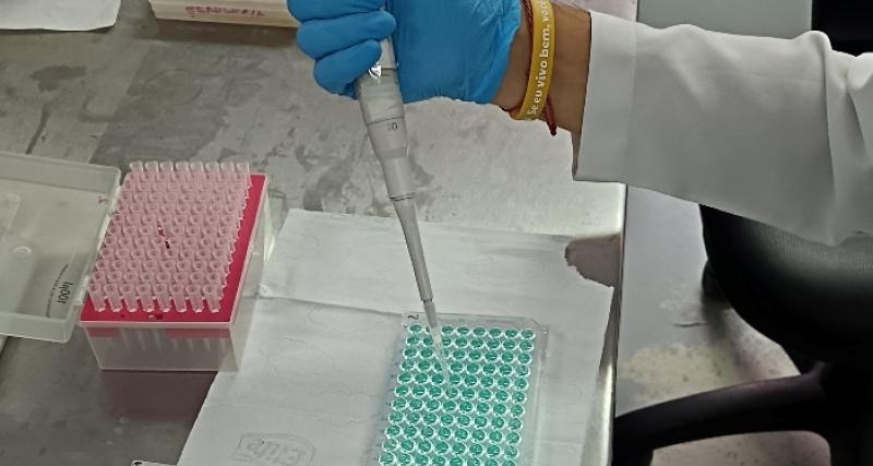 Mycoplasma gallisepticum por ELISA indirecto 