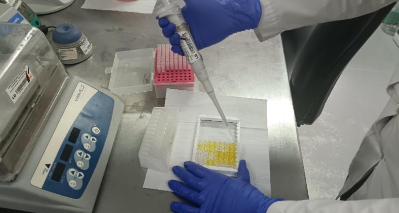 Rinoneumonítis viral equina ELISA