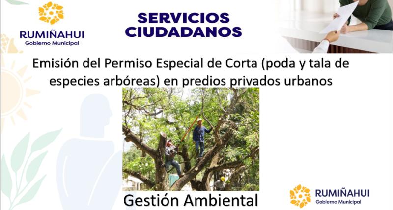 Dirección de Gestión Ambiental 