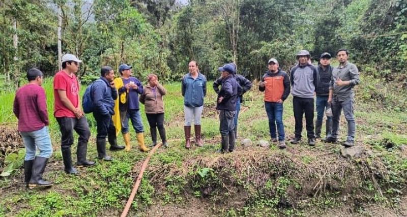 Denuncias ambientales