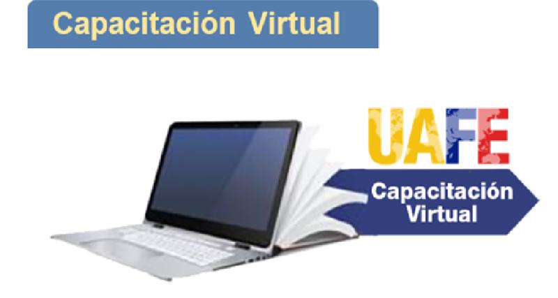 Capacitación virtual