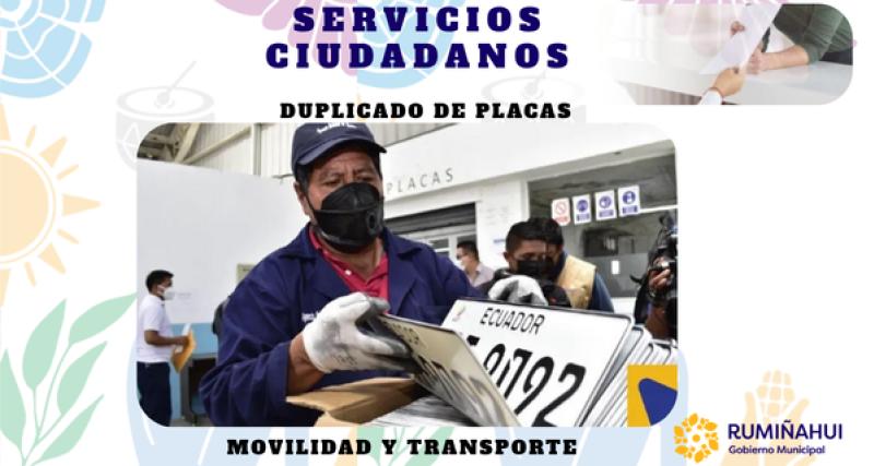 Dirección de Movilidad y Transporte
