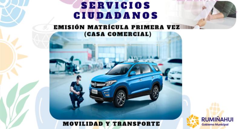 Dirección de Movilidad y Transporte