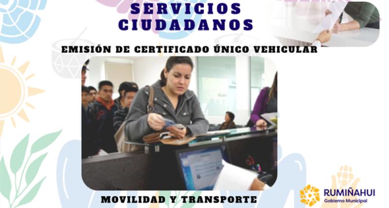 Dirección de Movilidad y Transporte